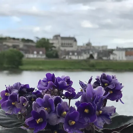 Les Studios De Soizick Amboise Buitenkant foto