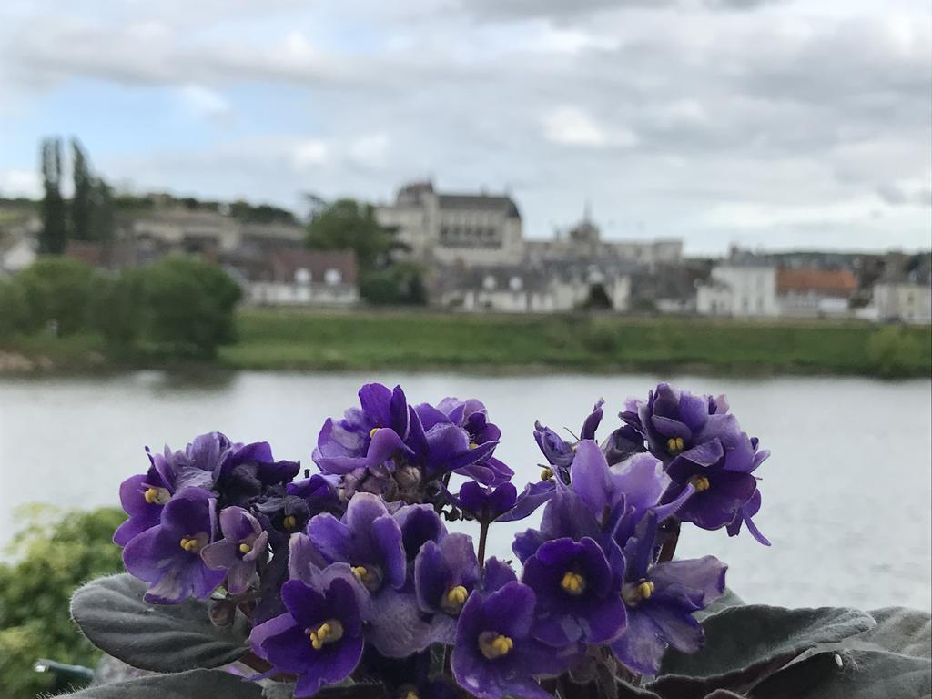 Apartment Les De Soizick Amboise
